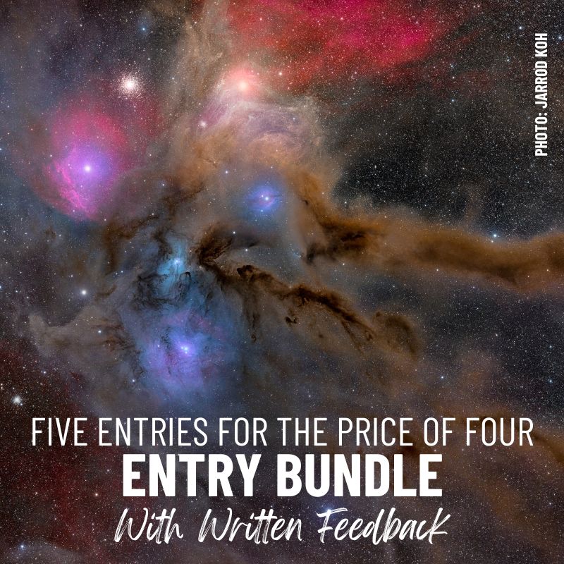 5 Entry Bundle with Written Feedback