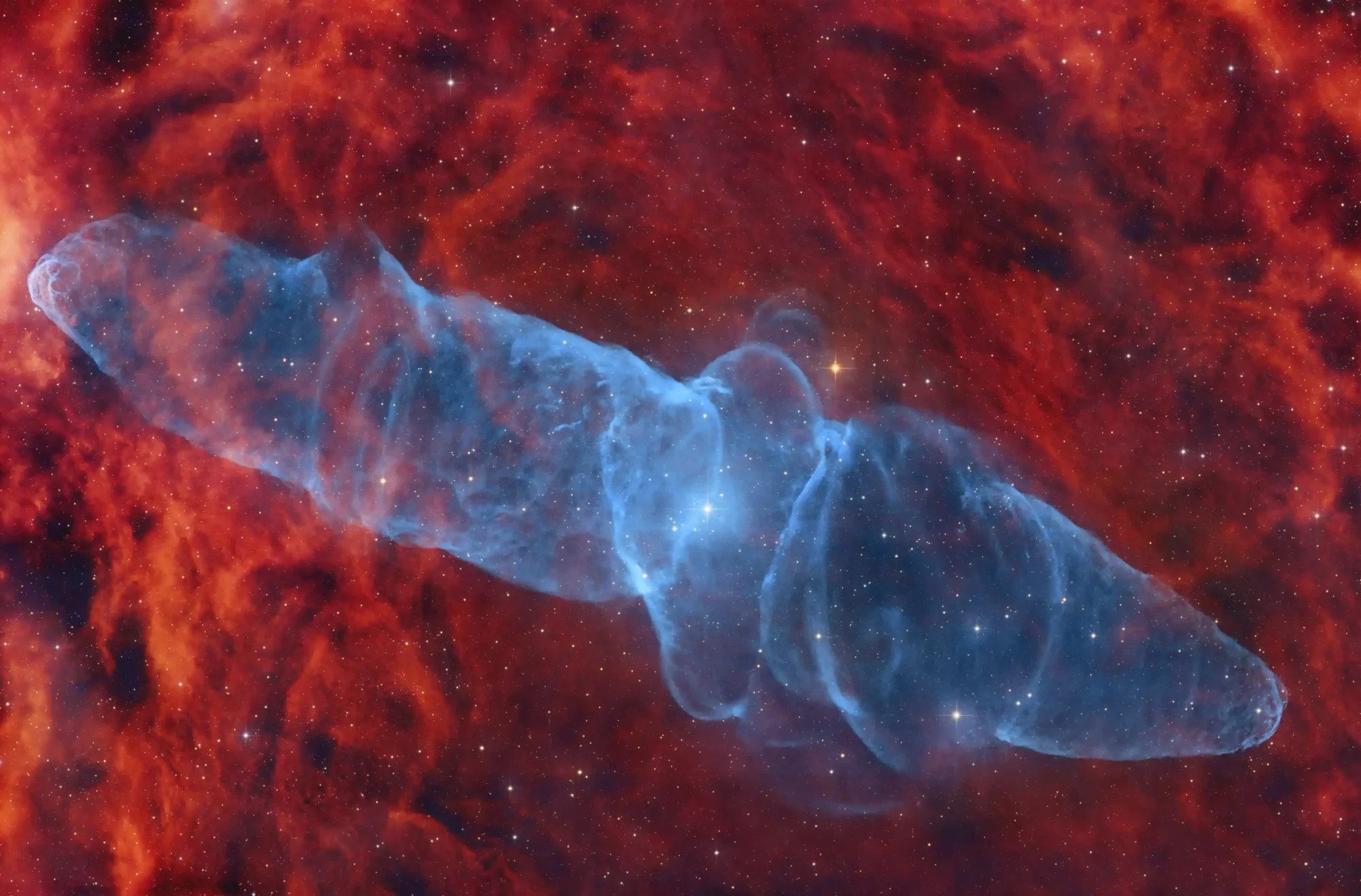Squid Nebula OU4 by Ani Shastry (USA)